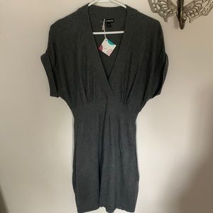 Express Sweater Dress/Tunic